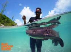 Popular activities here include snorkeling, diving, swimming, kayaking, paddle-boarding, riding underwater scooters, etc Popular activities here include snorkeling, diving, swimming, kayaking, paddle-boarding, riding underwater scooters, etc.